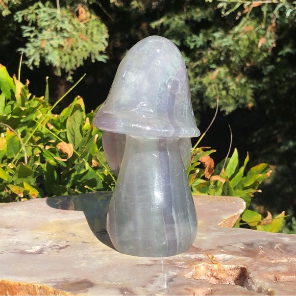 Extra Large Double Mushroom Rainbow Fluorite Carving - Picture 4 of 5